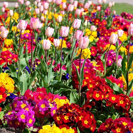 Gabala Garden Hostel Екстериор снимка