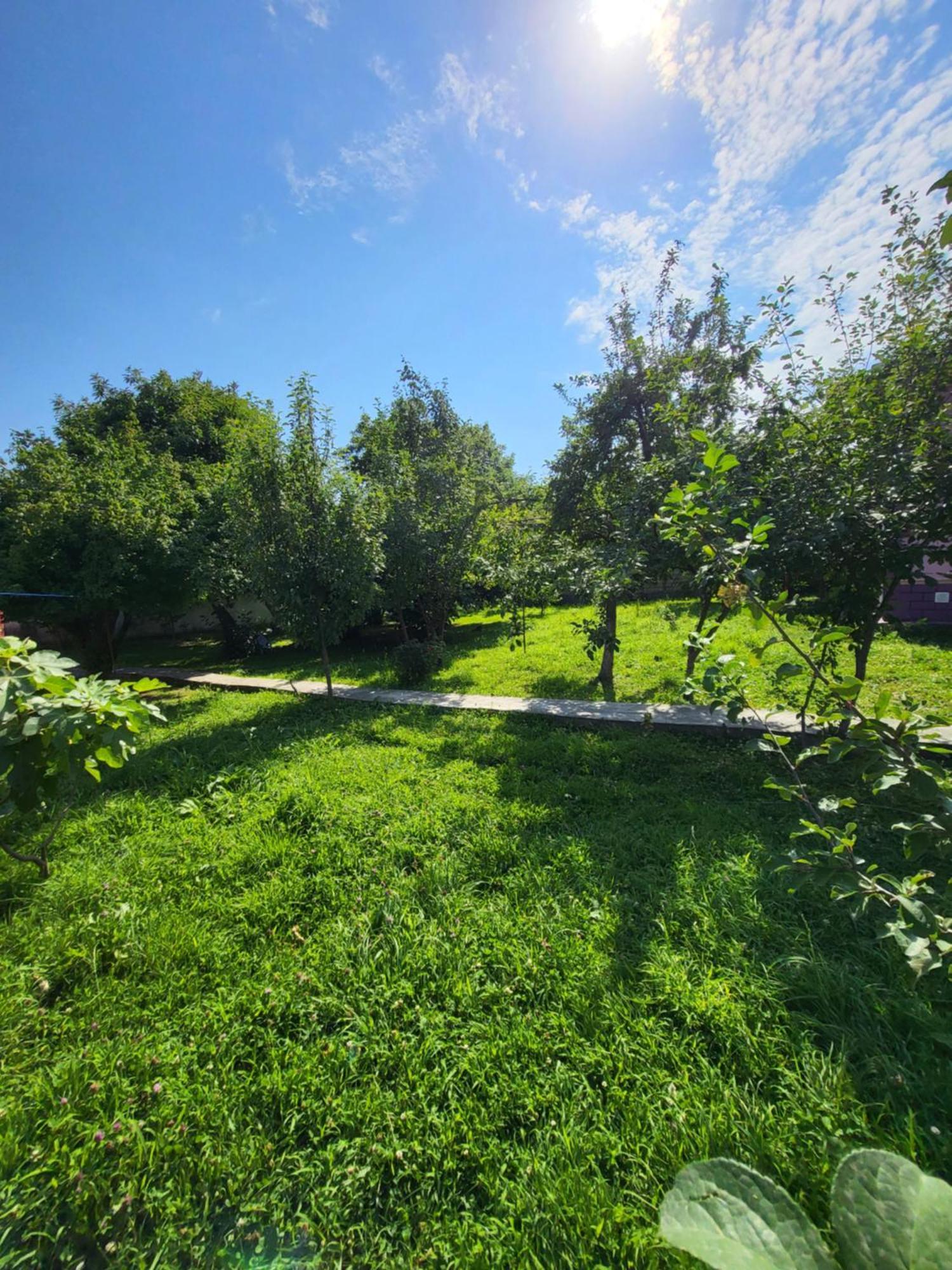 Gabala Garden Hostel Стая снимка
